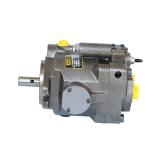 Hydraulic Pump, Piston Pump of PAVC33, 38, 65, 100