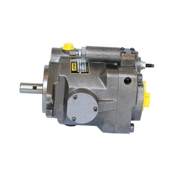 Poclain MS18 gear pump with hydraulic motor from shanghai Bett manufacturer #1 image