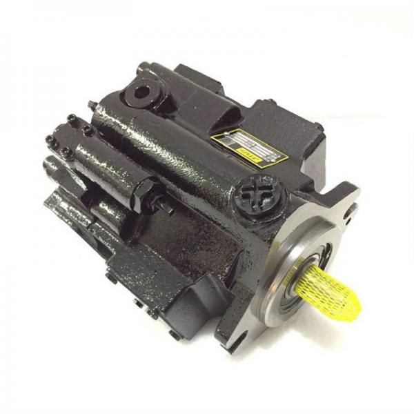 China made Parker Commercial P30 P31 P50 P51 Gear Pump with low price #1 image
