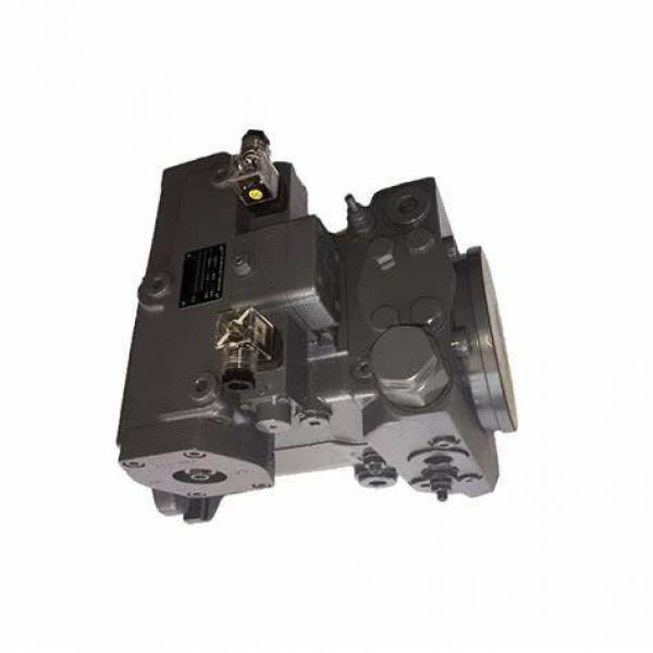 Rexroth A4vg125 Hydraulic Pump Spare Parts for Engine Alternator Cylinder Block, Piston, Valve Plate, Retainer Plate, Shaft, Swash Plate with Best Price Factory #1 image