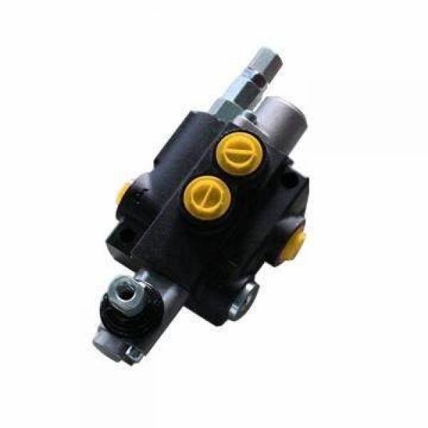 High Quality Rexroth A8VO107 Charge Pump / Pliot Pump / Gear Pump #1 image