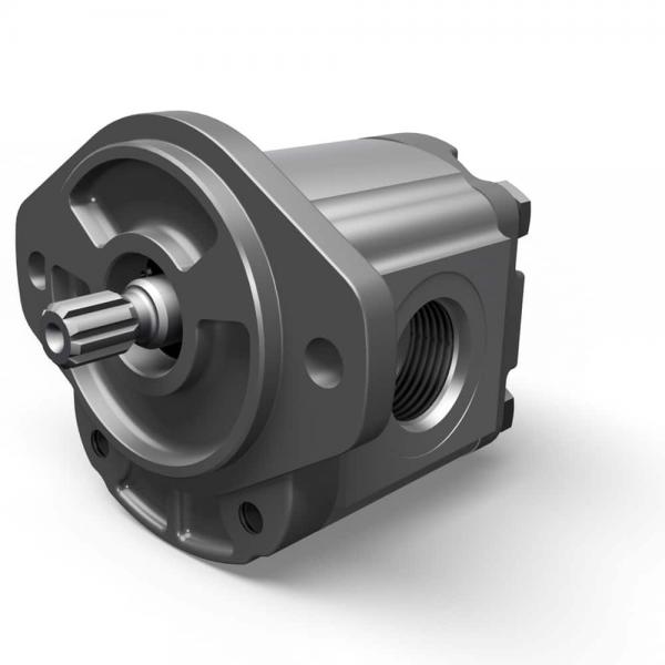 Hydraulic internal NT series gear pump, NT2-G10F, high pressure type, 25mpa #1 image