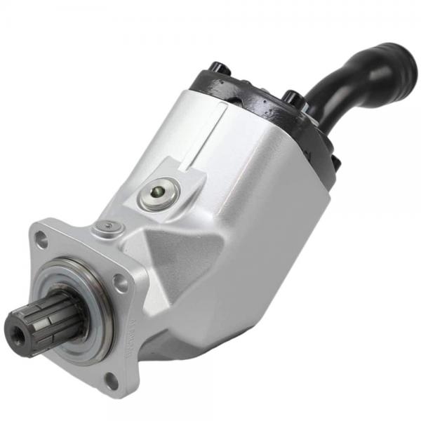 PARKER PGM511 PGM517 Hydraulic Gear Motor #1 image