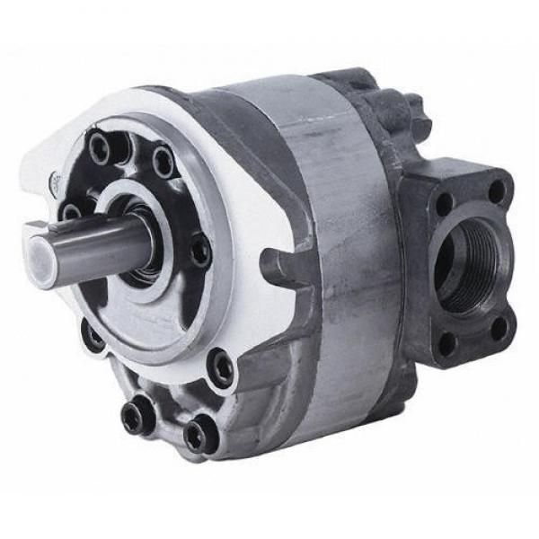 hydraulic gear pump motor #1 image