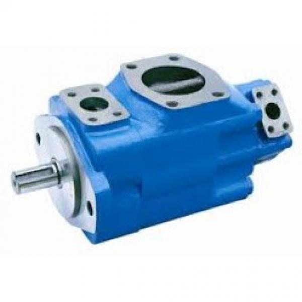 NEWDOSE HND PVDF water electric diaphragm metering pump #1 image