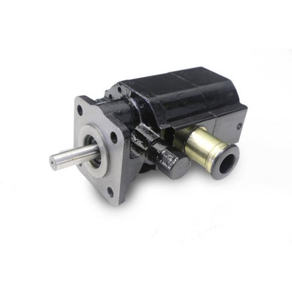 China Factory Direct High Pressure Plunger Pump CY 14-1B Rotary Axial Hydraulic Piston Pump CY Motor #1 image